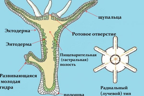 Даркнет площадки