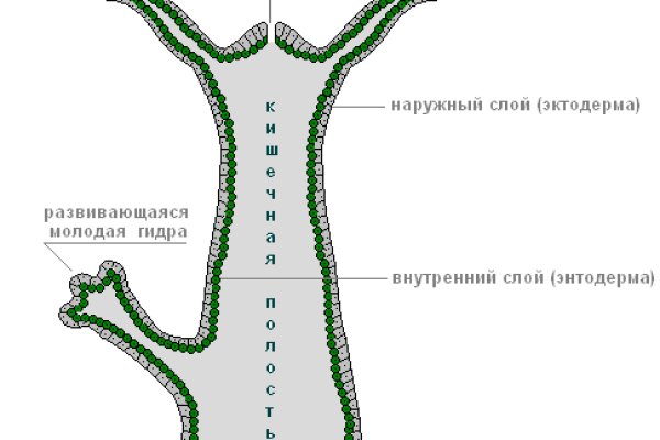 Tor kraken маркет
