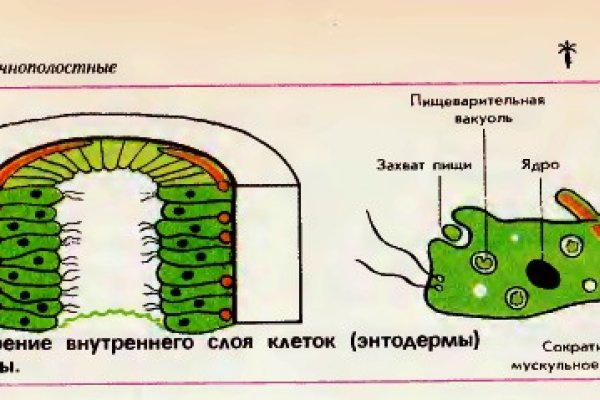 Кракен сайт войти
