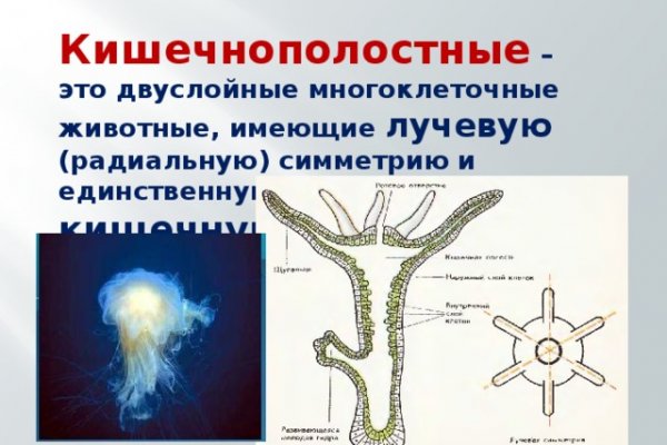 Кракен маркетплейс kr2web in площадка торговая