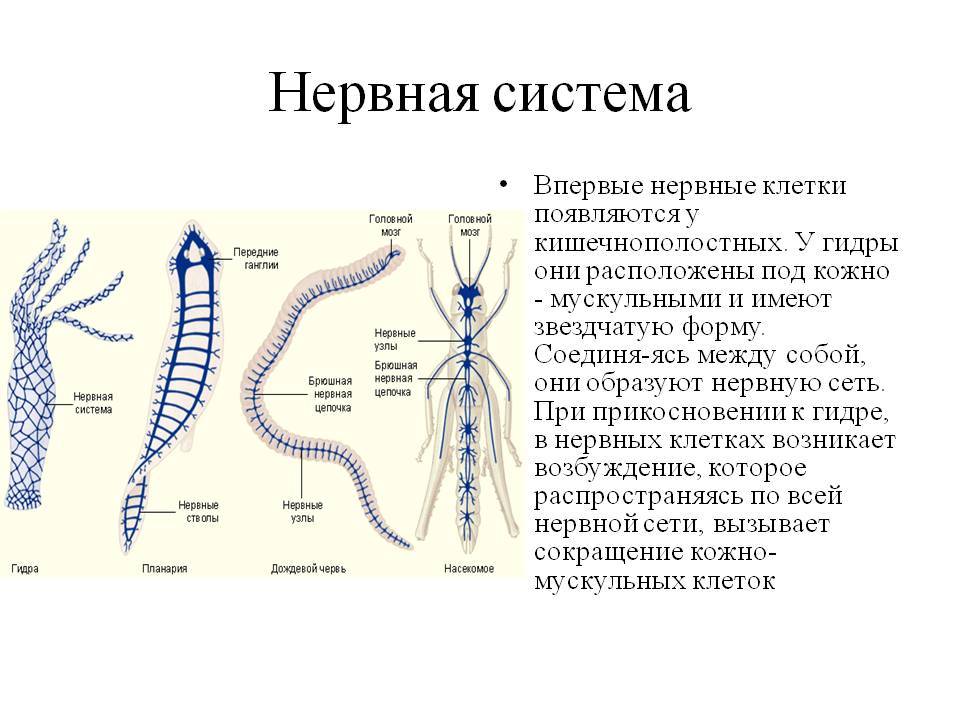 Как зарегистрироваться на сайте кракен