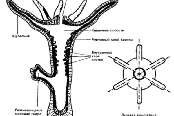 Kraken официальный сайт вход